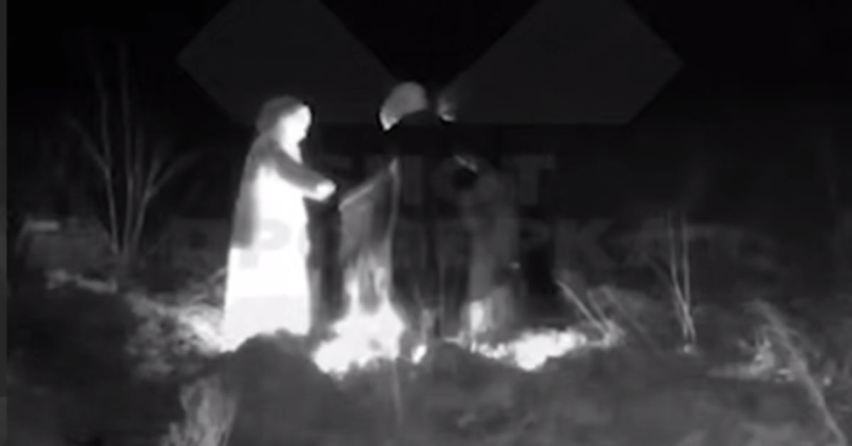 Ой, что это?! Таинственные ритуалы в рязанском лесу