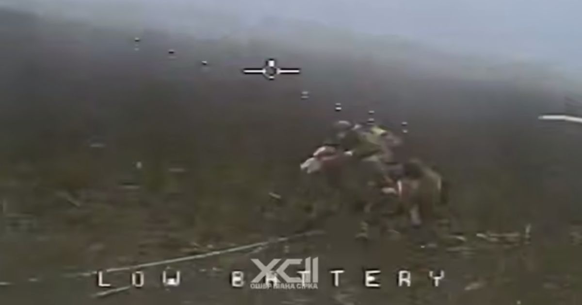 Ой, что это?! Атака украинского БПЛА на российскую кавалерию!