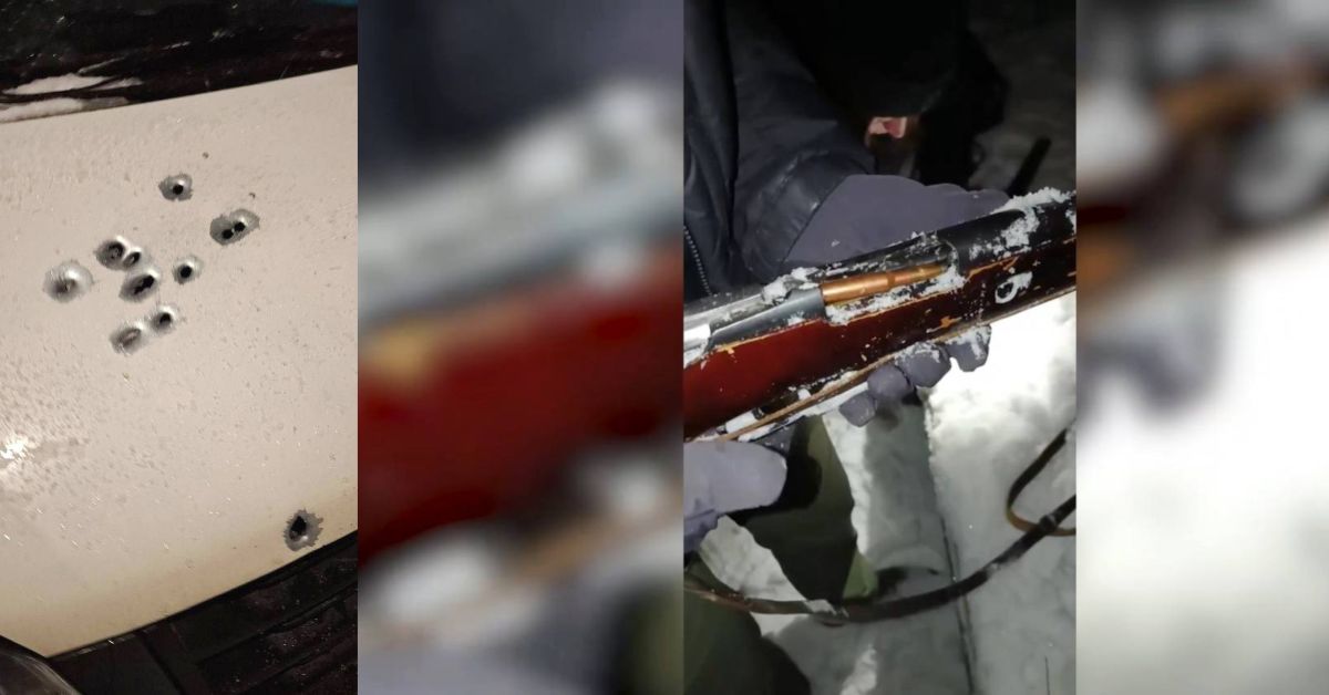 Вызов скорой помощи в деревню в Ленобласти закончился её расстрелом