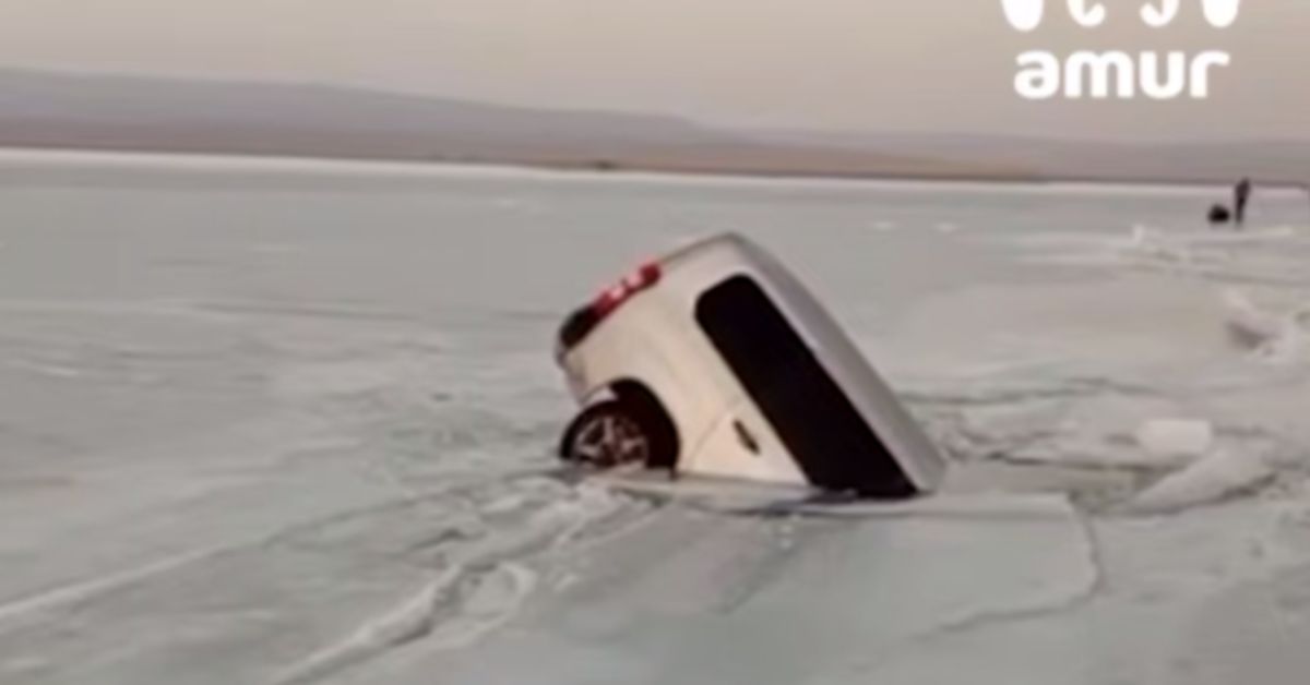 Ой, что это?! Рыбацкая неудача в Приморье