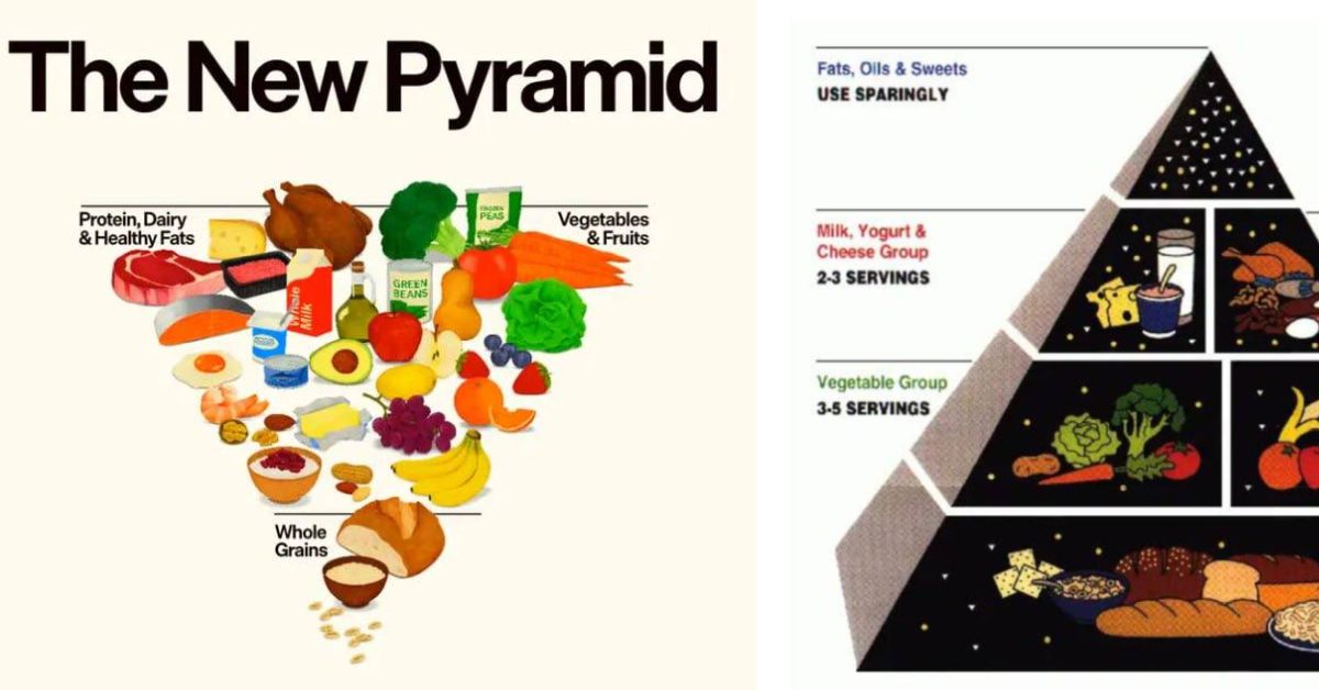 «Ешьте настоящую еду»: в США перевернули пищевую пирамиду