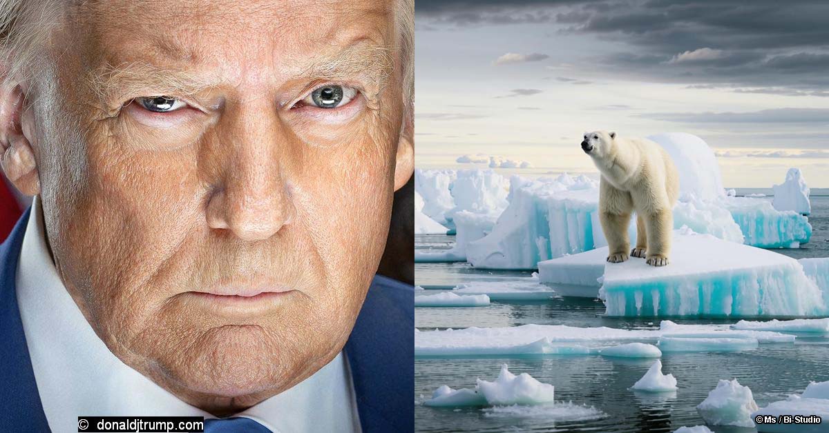 Путин и Гренландия: вероятно, будет пытаться купить остров