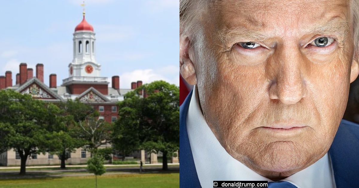 Трамп против Гарварда и иностранных студентов: драма идей. И денег...