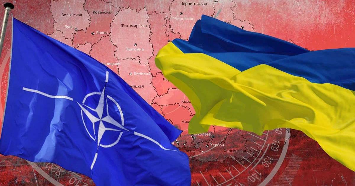 НАТО (очень осторожно) предлагает Киеву свой зонтик — в обмен на отказ от территорий. В Киеве пока негодуют